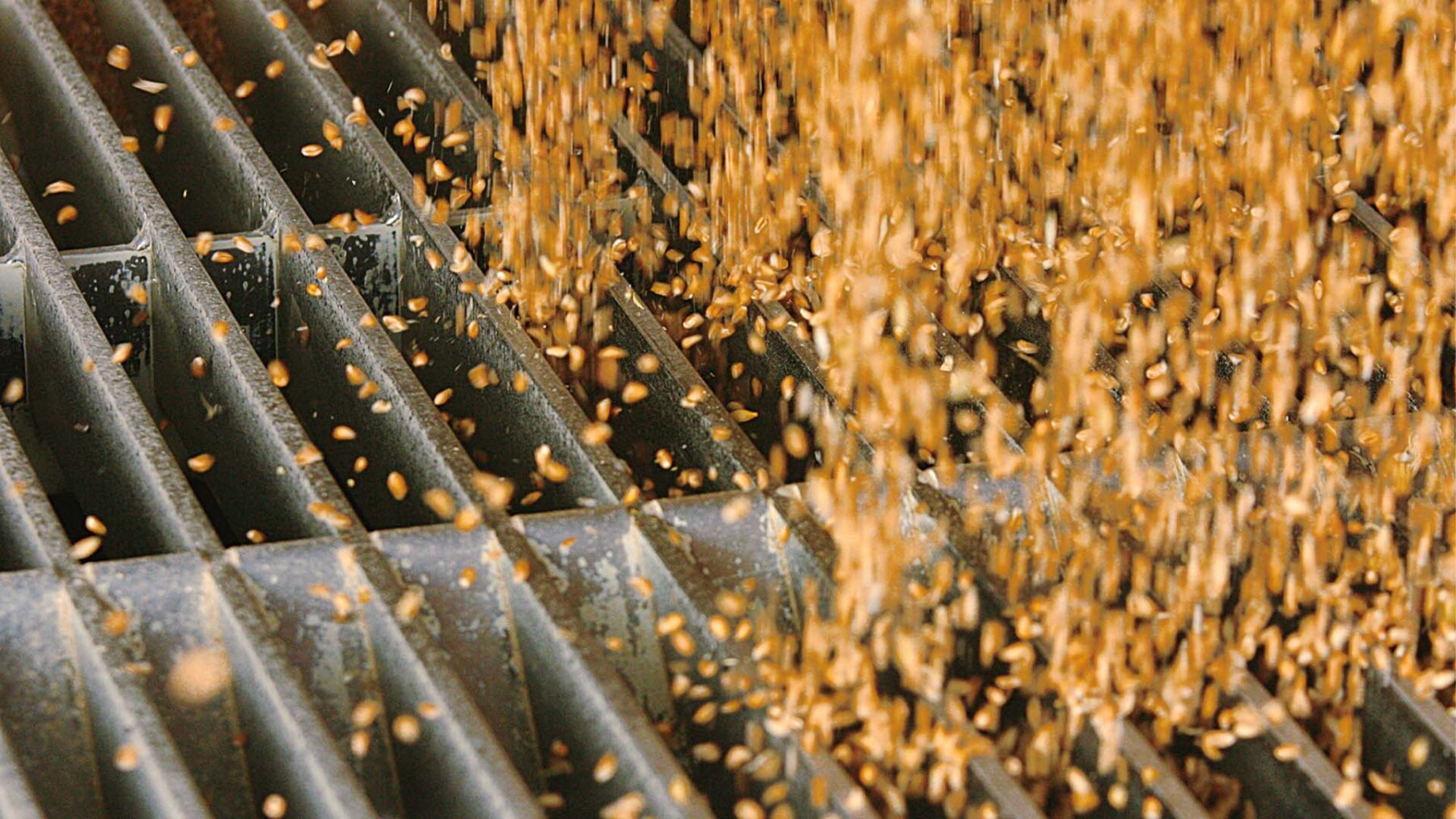 Busca-Scarico grano_1999